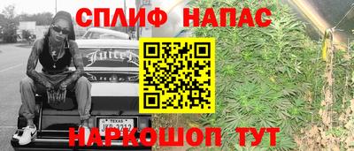 прущие грибы Можайск