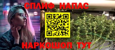 прущие грибы Можайск